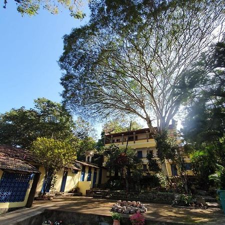 Отель Casa Da Fonte Hospedaria Мигел-Перейра Экстерьер фото